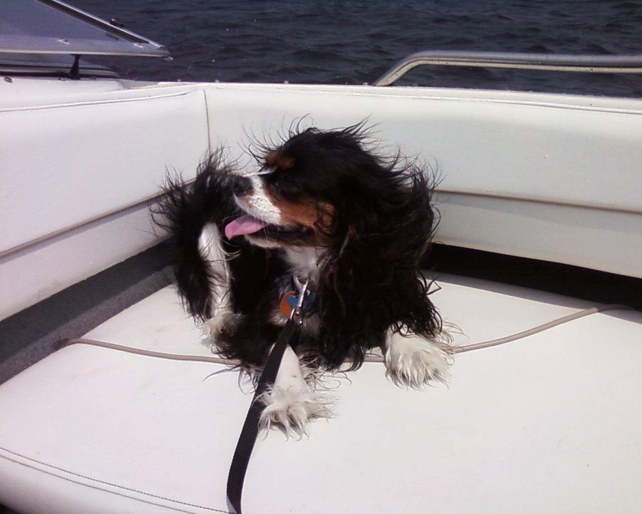petey-on-the-boat