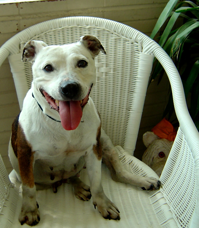 Cora on Wicker Chair