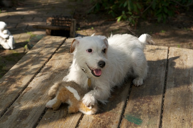 Tilly with Stuffed Toy