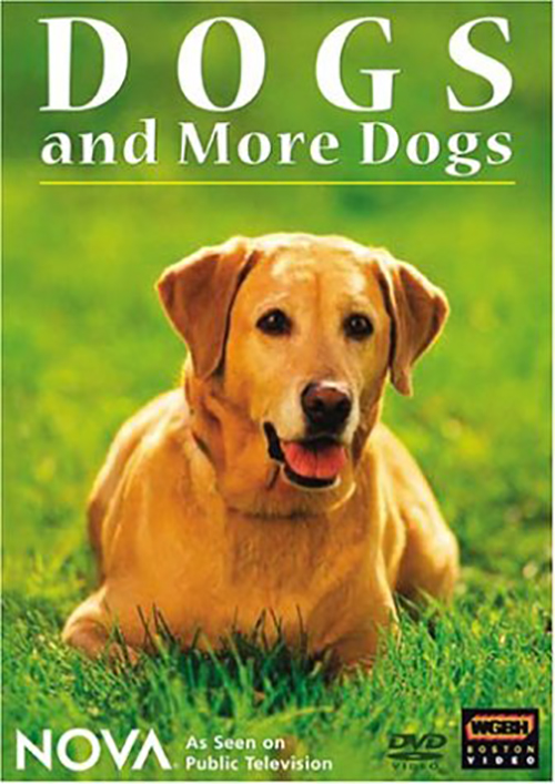 NOVA: Dogs and more Dogs DVD Cover