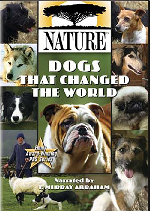 Nature: Dogs that Change the World DVD Cover