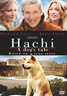 Hachi