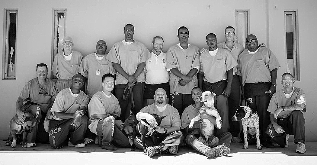 Prison dog program volunteers