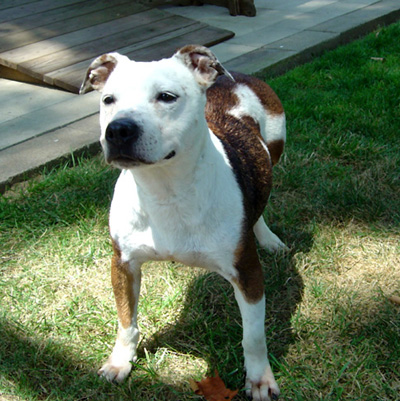 Cora Standing